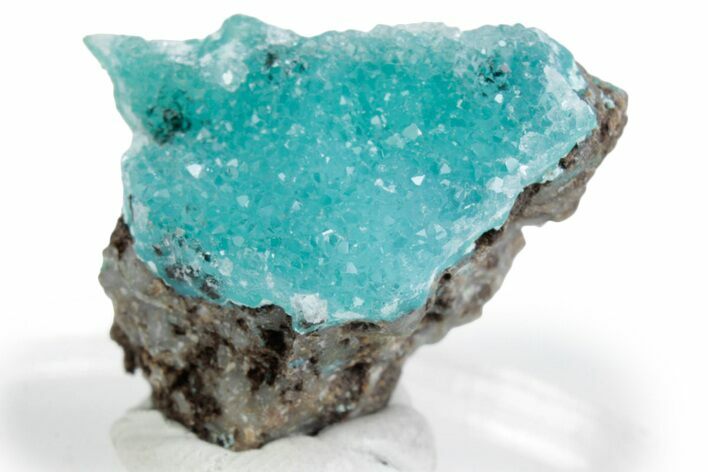 Sparkling Druzy Quartz on Chrysocolla - DR Congo #366158